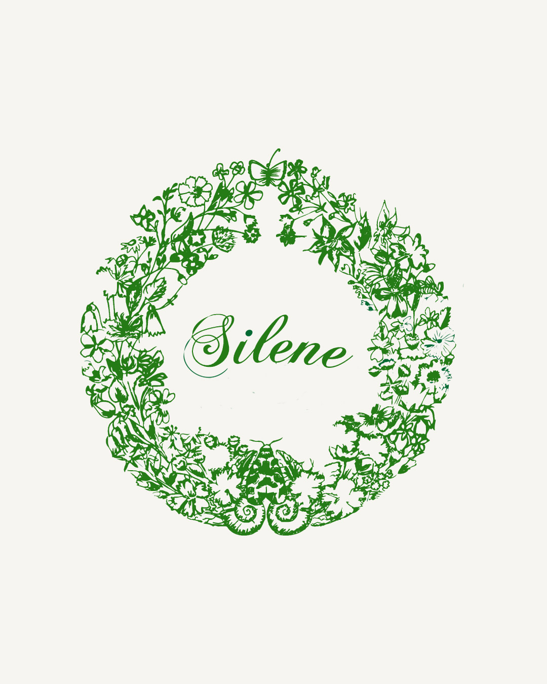 ZEMST IN BLOEI SILENE