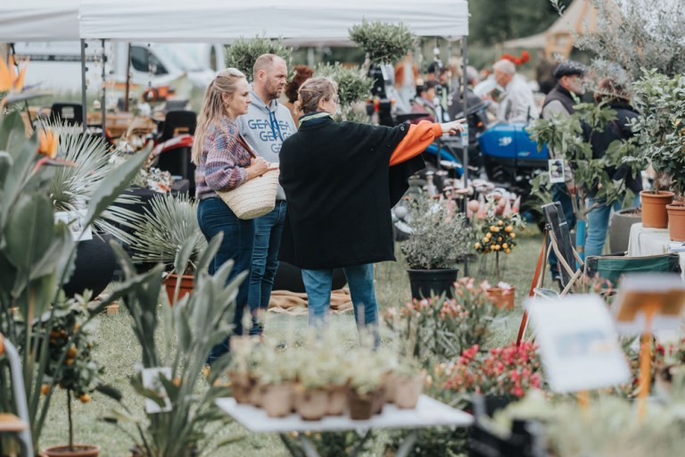 20250518TL_Zemst-in-Bloei_073